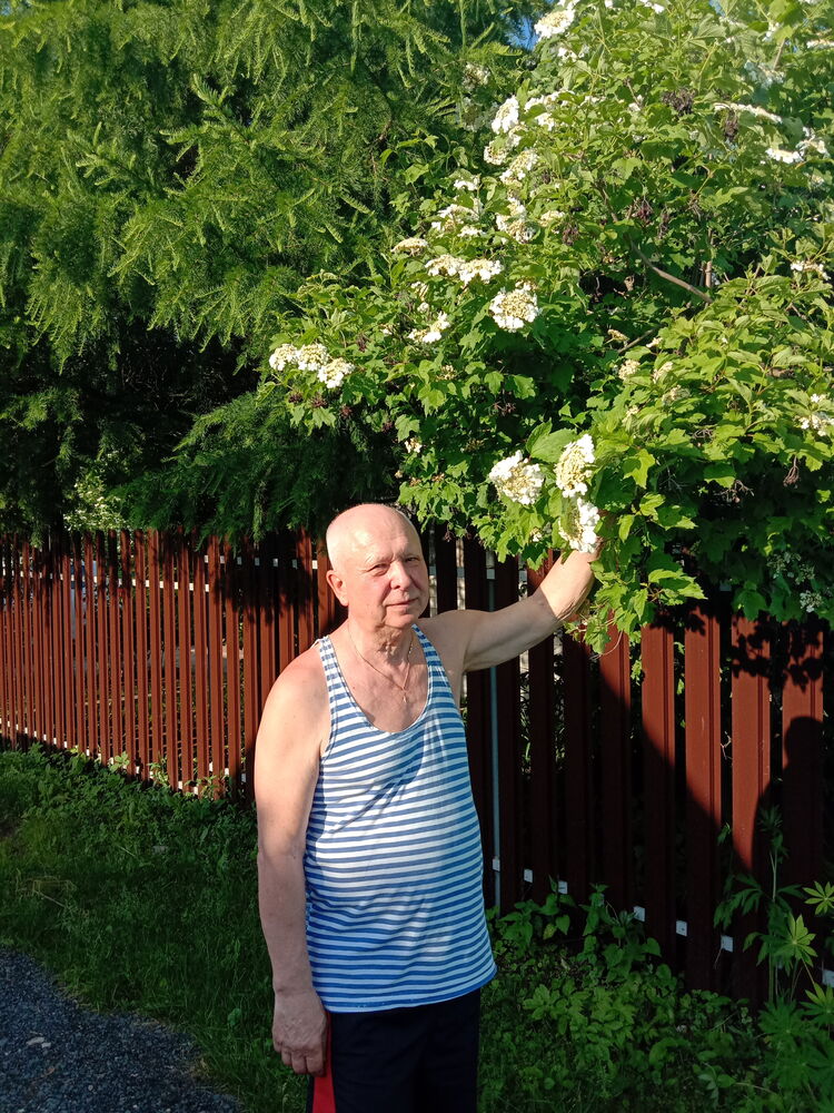 ���������� ������, ���� ������� ��������, 75 ���, ������������ ��� c�������� ���������, ���������