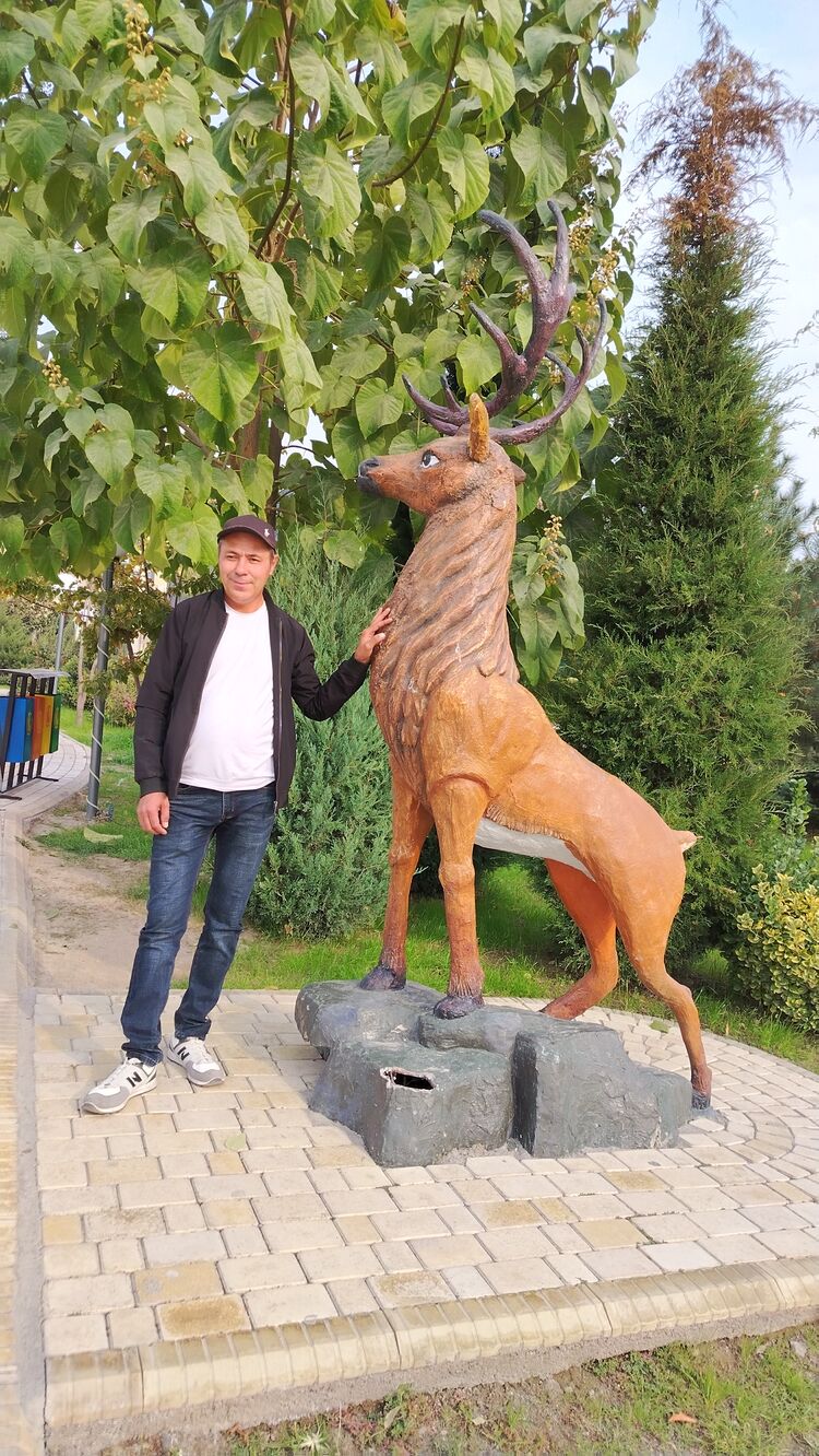 ���������� ������, ���� ������� ��������, 46 ���, ������������ ��� ����� � ���������, c�������� ���������, ���������