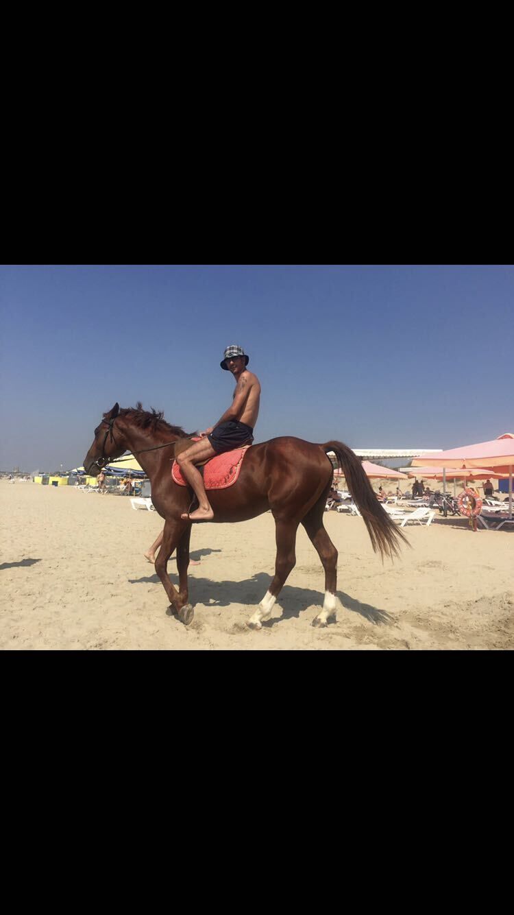 ���������� �����, ���� ������� �����, 38 ���, ������������ ��� ������, ����� � ���������, ���������