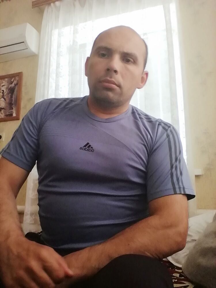  53632161  , 43 ,    