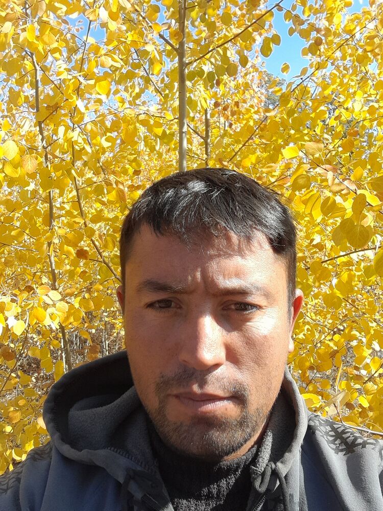 ���� 38075531 ������� �������, 38 ���, ���� ���������� � ������