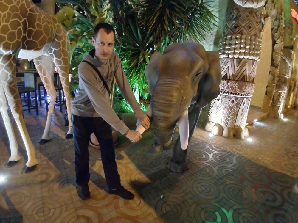 ���������� ������-��-����, ���� ������� �������, 38 ���, ������������ ��� ������, ����� � ���������, c�������� ���������