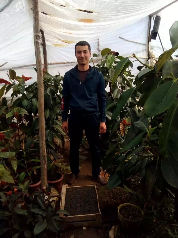 ���������� �������, ���� ������� ���, 34 ����, ������������ ��� ������, ����� � ���������, c�������� ���������