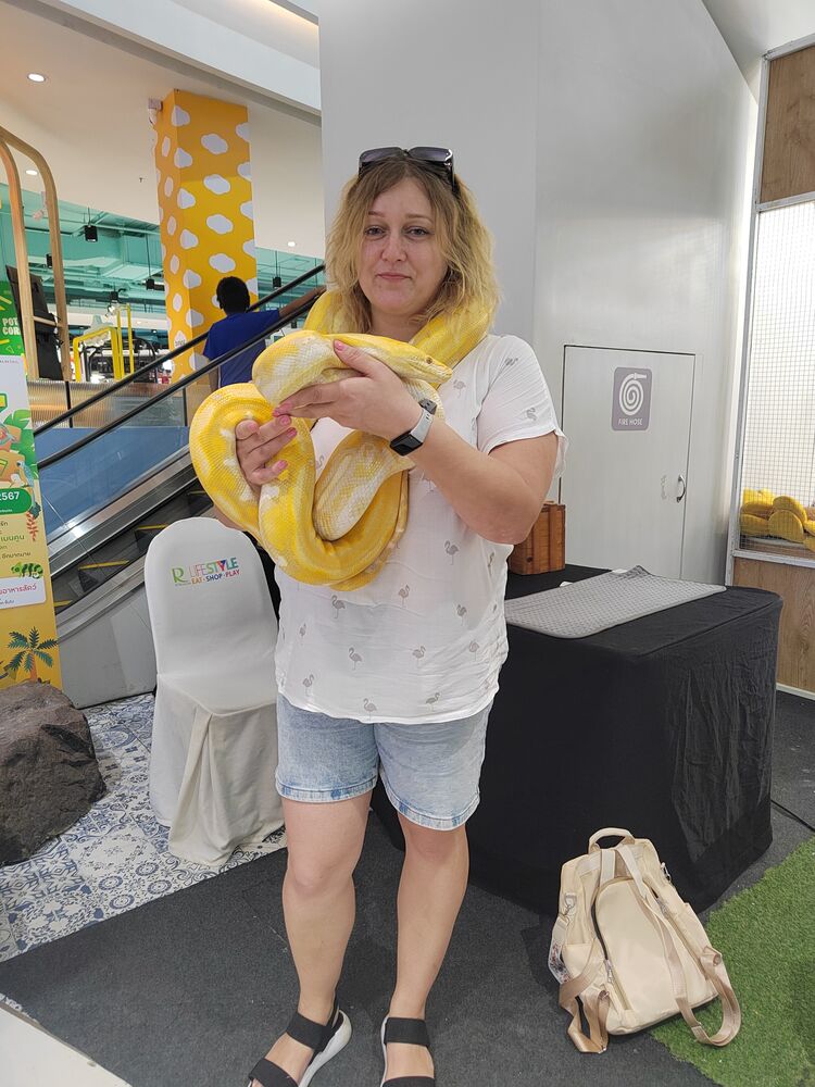 ���������� ��������, ���� ������� Svetlauchoc, 41 ���, ������������ ��� ������, ����� � ���������