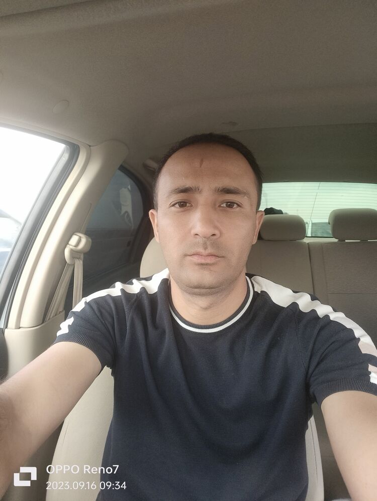  37947561  , 37 ,    