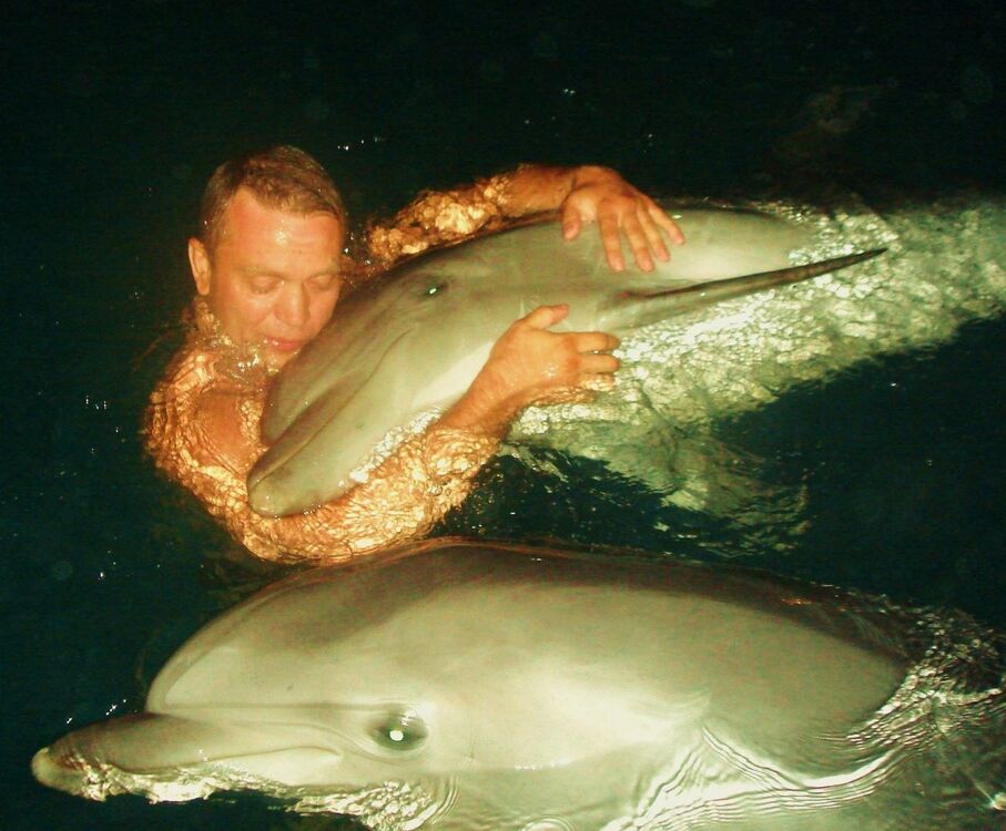 ���������� ������, ���� ������� �������, 56 ���, ������������ 