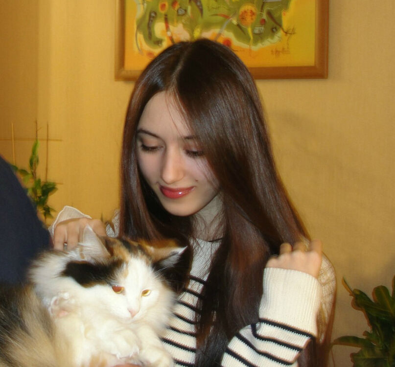  23815121  Nifertity, 24 ,    