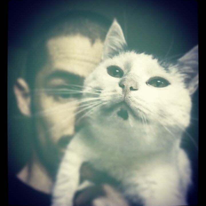 ���� 24462331 ������� �����, 30 ���, ���� ���������� � �����