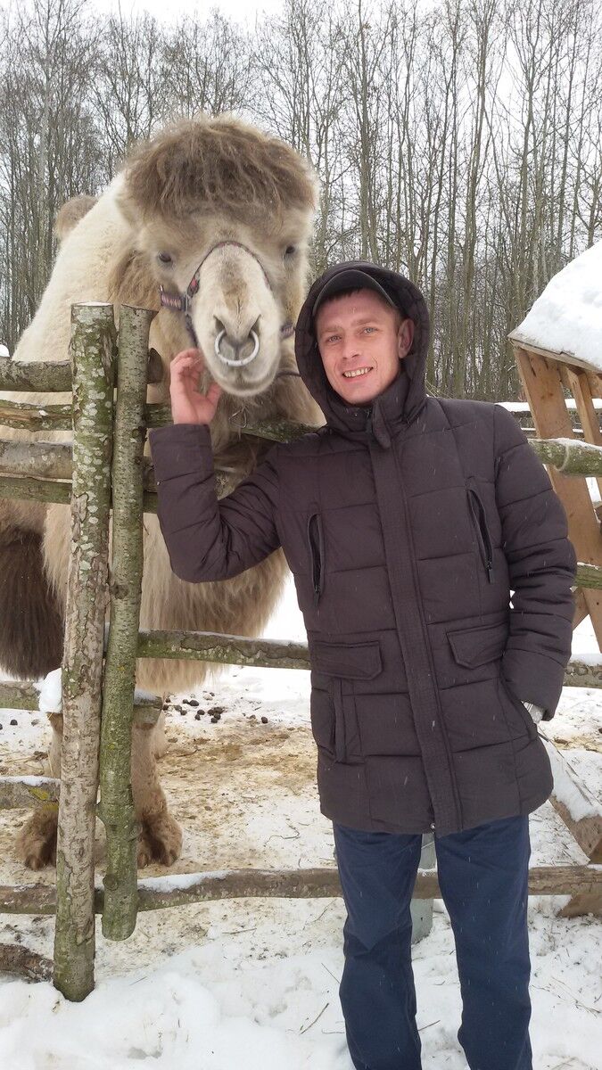 ���������� ���������, ���� ������� ������, 40 ���, ������������ ��� ������, ����� � ���������, c�������� ���������