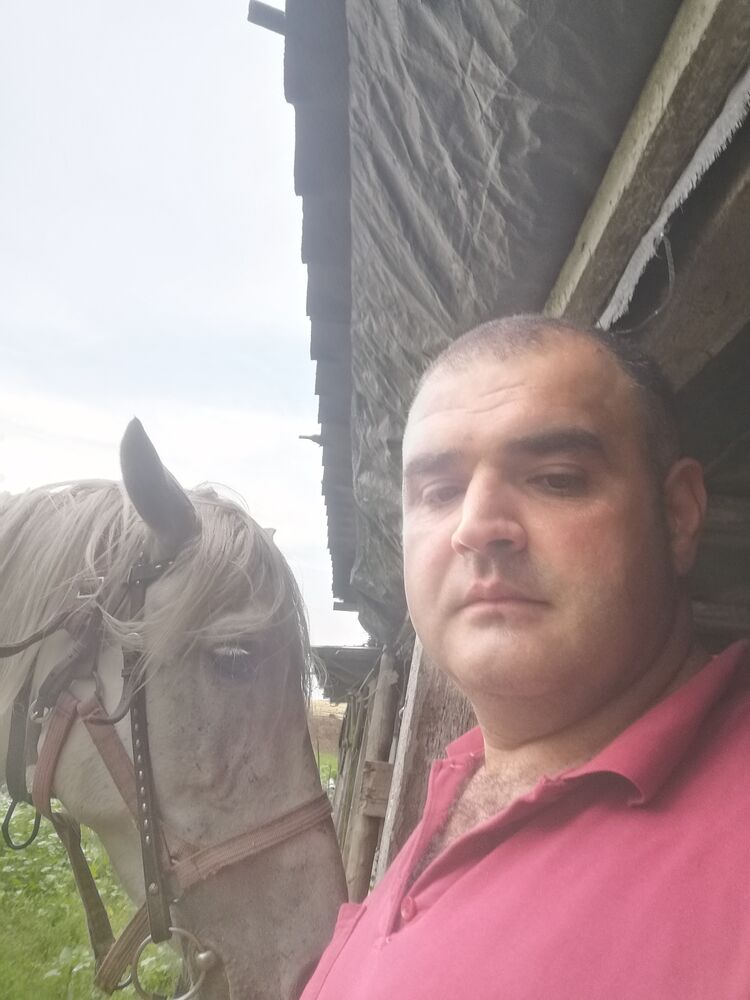 ���� 36321331 ������� ����, 41 ���, ���� ���������� � ���������