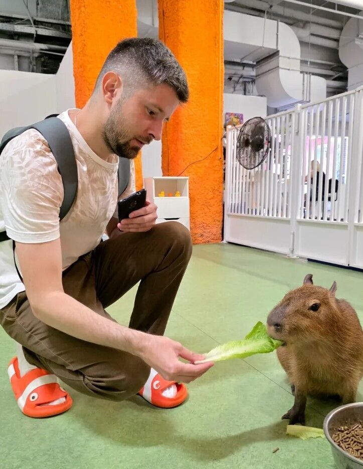 ���������� ����, ���� ������� Evgen, 31 ���, ������������ ��� ������, ����� � ���������, c�������� ���������, ���������