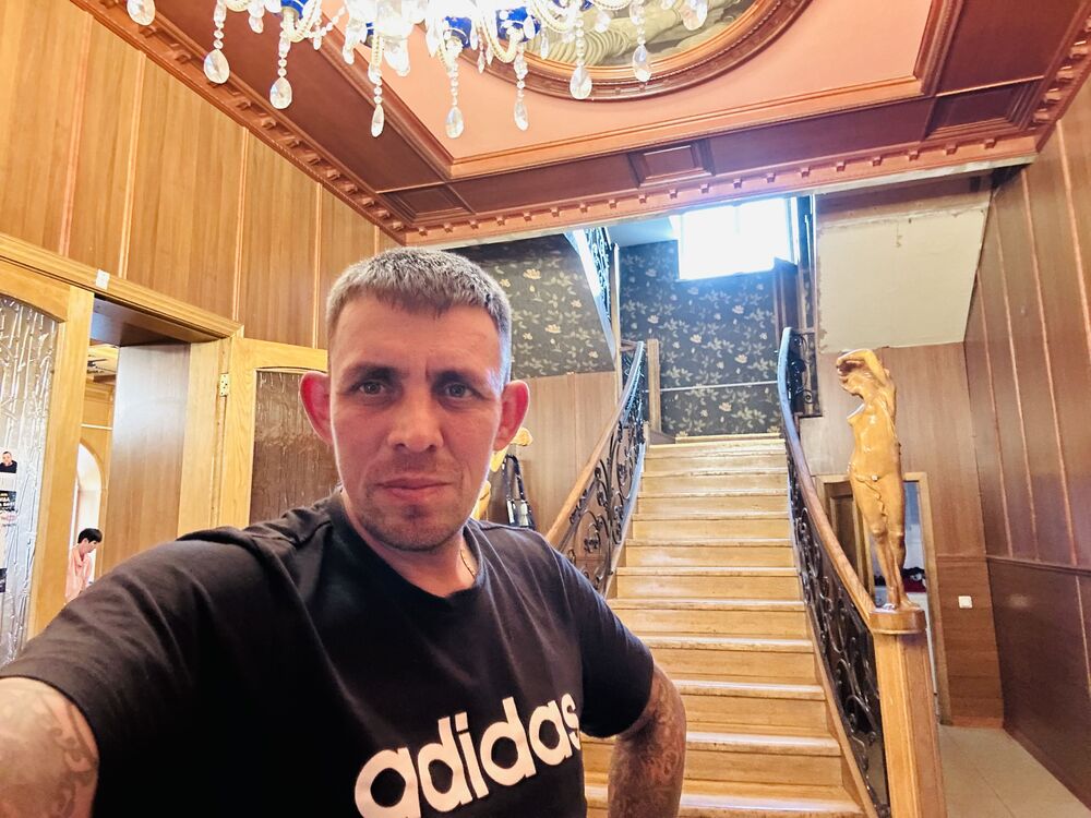  44636551  , 43 ,    -