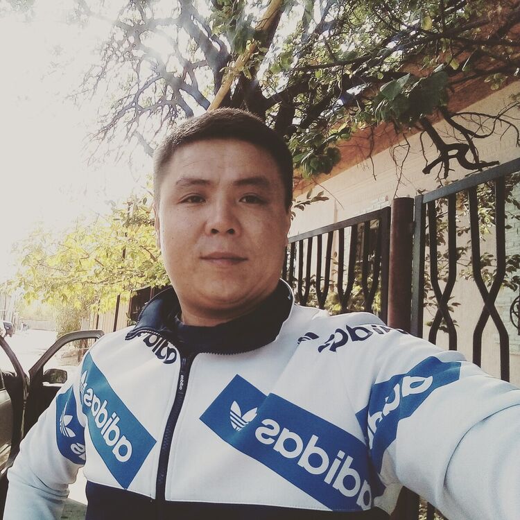 ���� 20027941 ������� �����, 41 ���, ���� ���������� � ��������