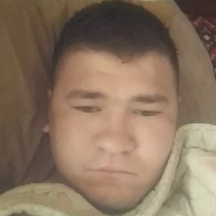  45581551  , 20 ,    