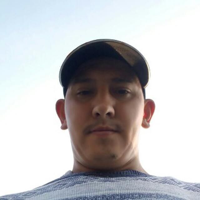  39232511  , 31 ,    