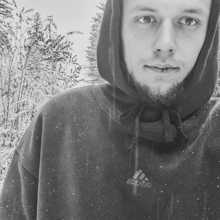 ���������� �����������, ���� ������� ����, 26 ���, ������������ ��� ������, ����� � ���������