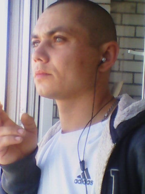 ���� 35956681 ������� ����, 40 ���, ���� ���������� � ������