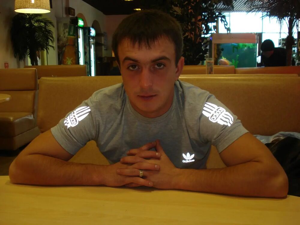 ���� 31375001 ������� ���������, 36 ���, ���� ���������� � ����������