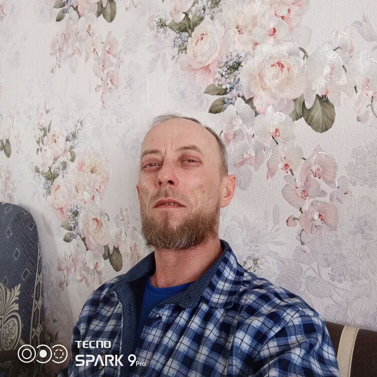  42813911  , 41 ,    