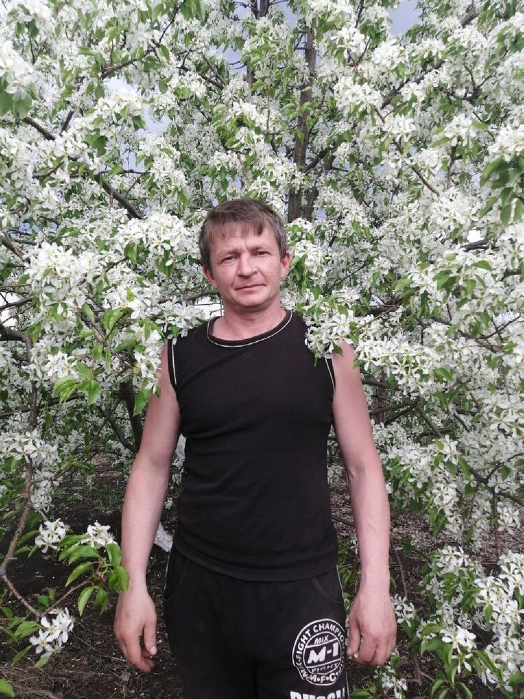 ���� 17291421 ������� ������, 48 ���, ���� ���������� � ���������