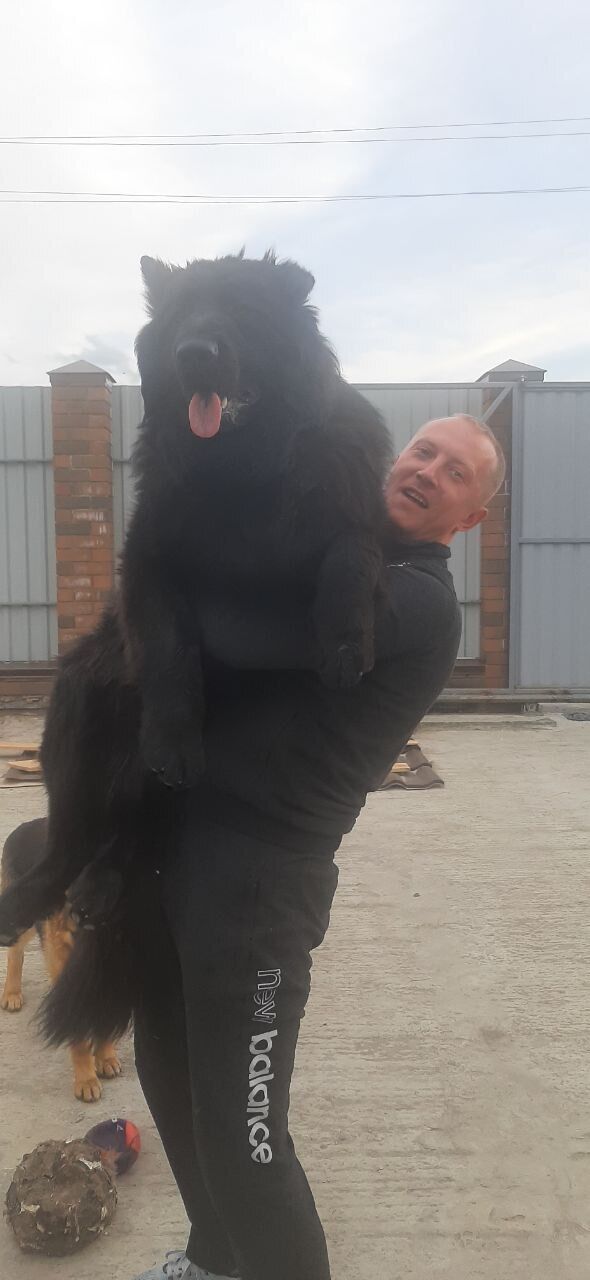  ,   Oleg, 35 ,   ,   