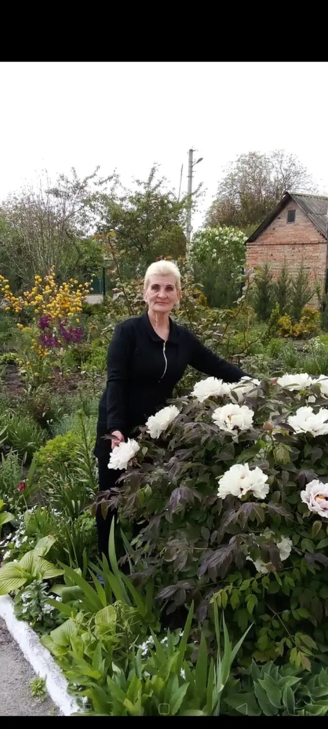 ���������� ������, ���� ������� �����, 72 ����, ������������ ��� ������, ����� � ���������