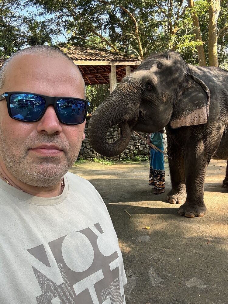  53917691  , 38 ,    -