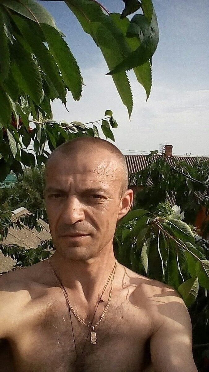  14207681  , 49 ,    