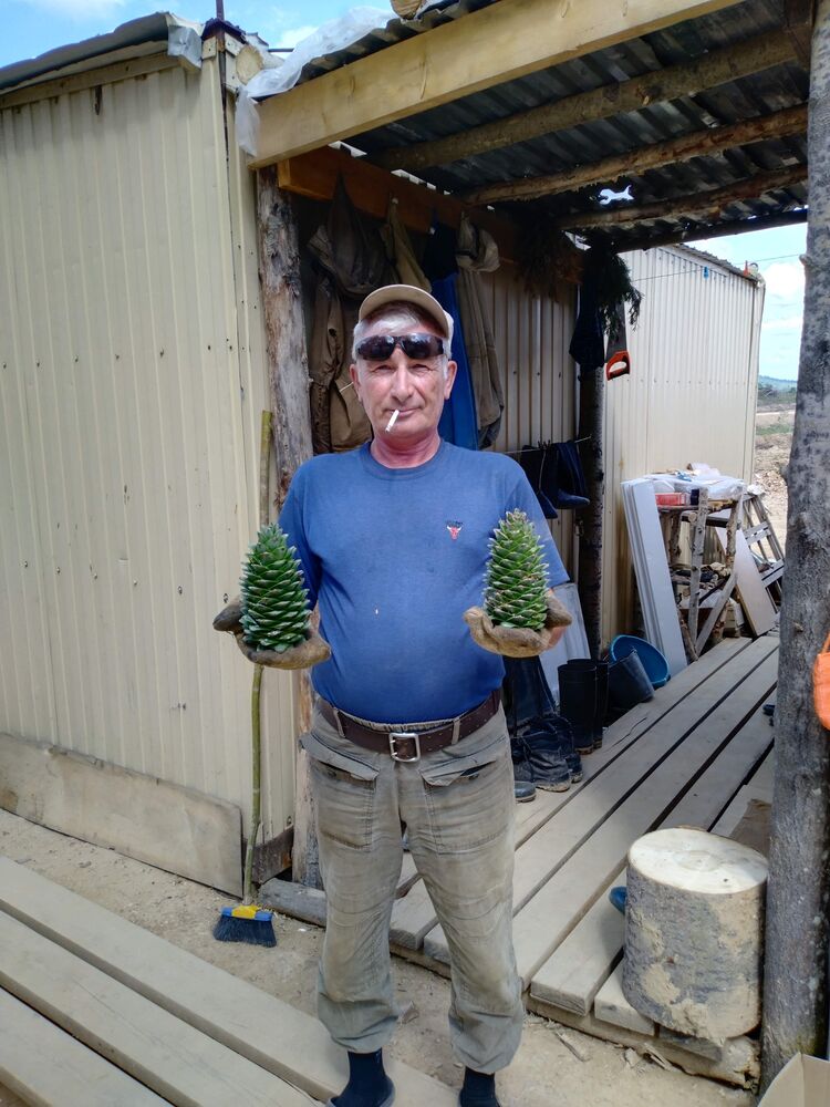 ���� 48815271 ������� ��������, 63 ����, ���� ���������� � �������