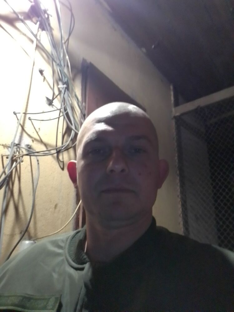  33419661  , 39 ,    