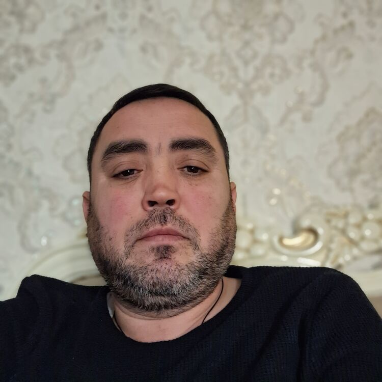  49296531  , 44 ,    