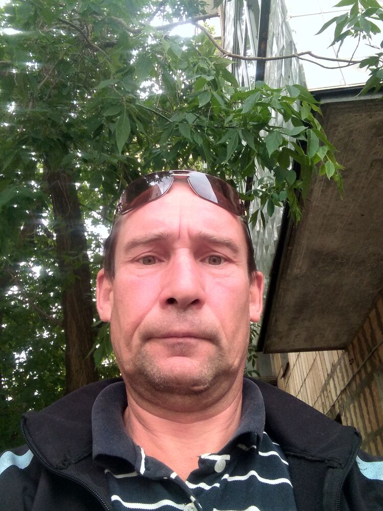 ���� 23115331 ������� �������, 50 ���, ���� ���������� � ������