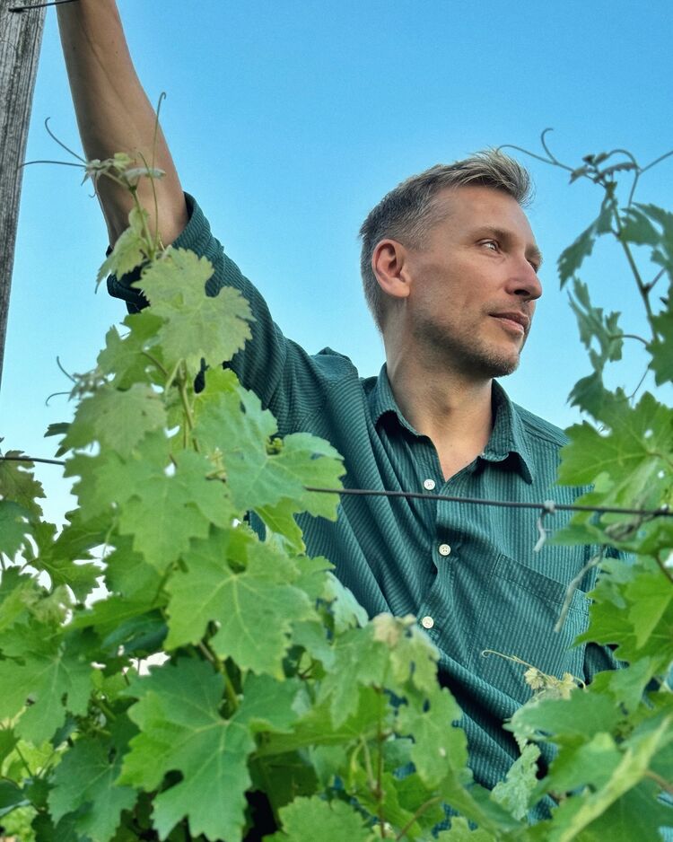 ���� 56044111 ������� ������, 36 ���, ���� ���������� � �������