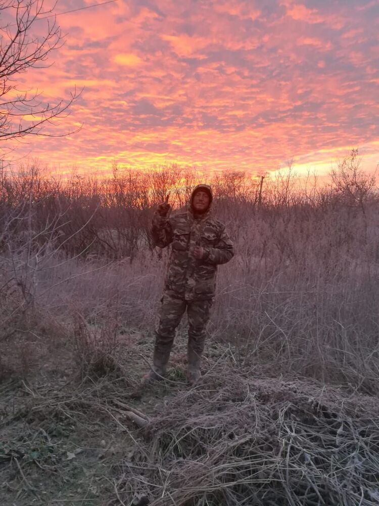  33895551  , 27 ,    -