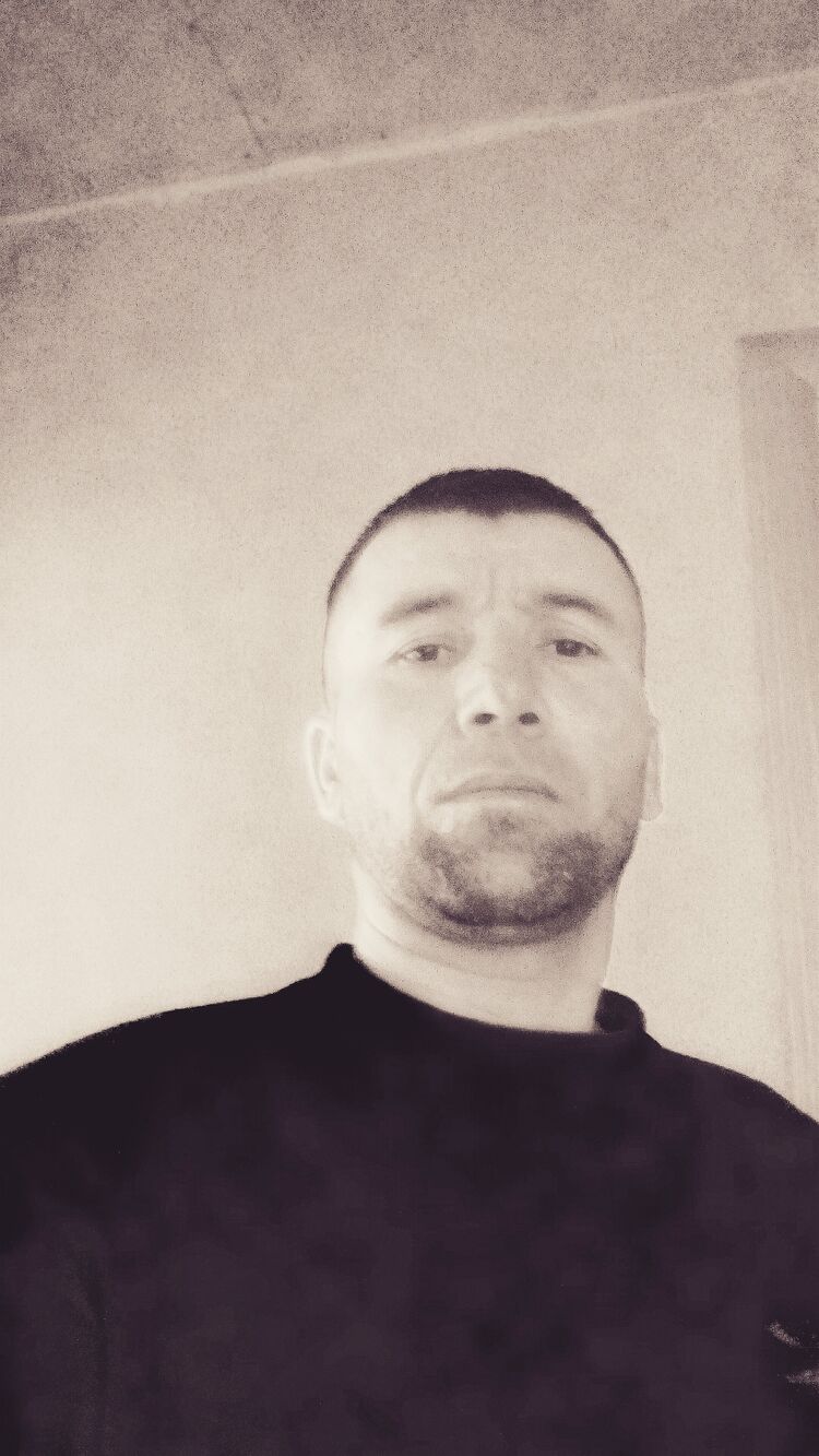  23856701  , 44 ,    