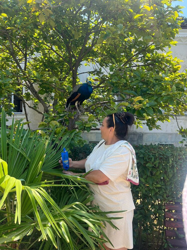 ���������� ����, ���� ������� ������, 57 ���, ������������ ��� ������, ����� � ���������, ���������