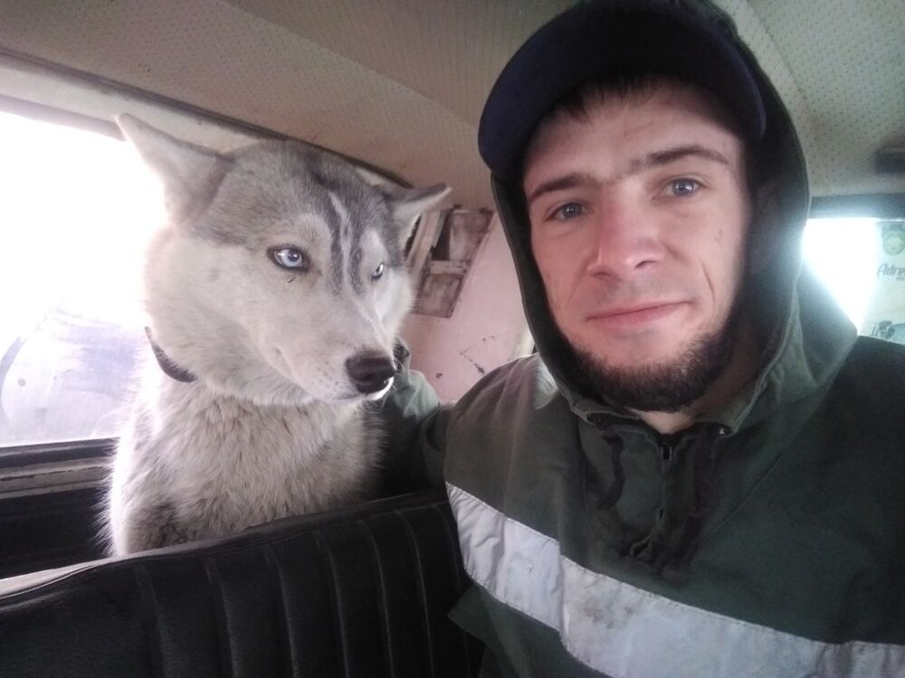 ���� 15369081 ������� �������, 31 ���, ���� ���������� � �������