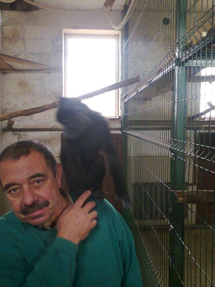   ,   , 56 ,   