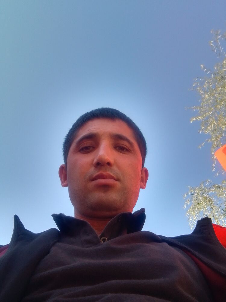  45821851  , 31 ,    