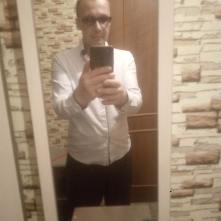  44335681  , 41 ,    