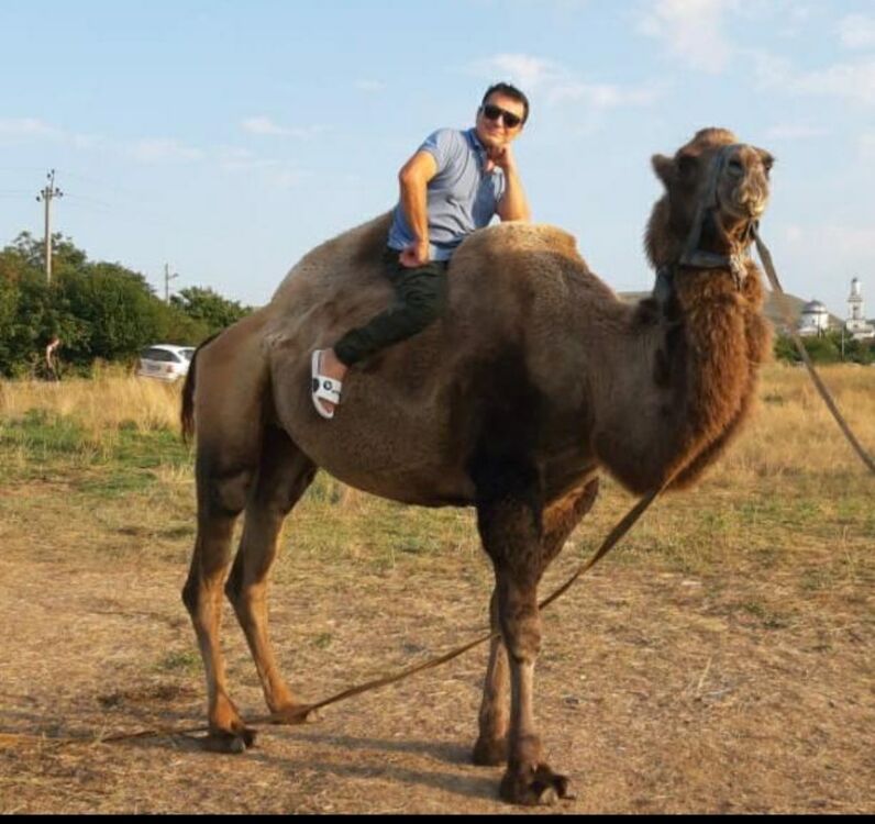 ���� 47025881 ������� �����, 56 ���, ���� ���������� � ����������