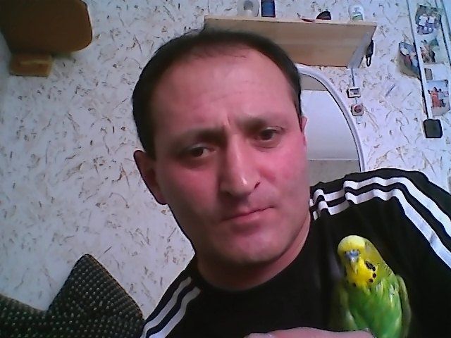  30276901  SHAMS, 54 ,    