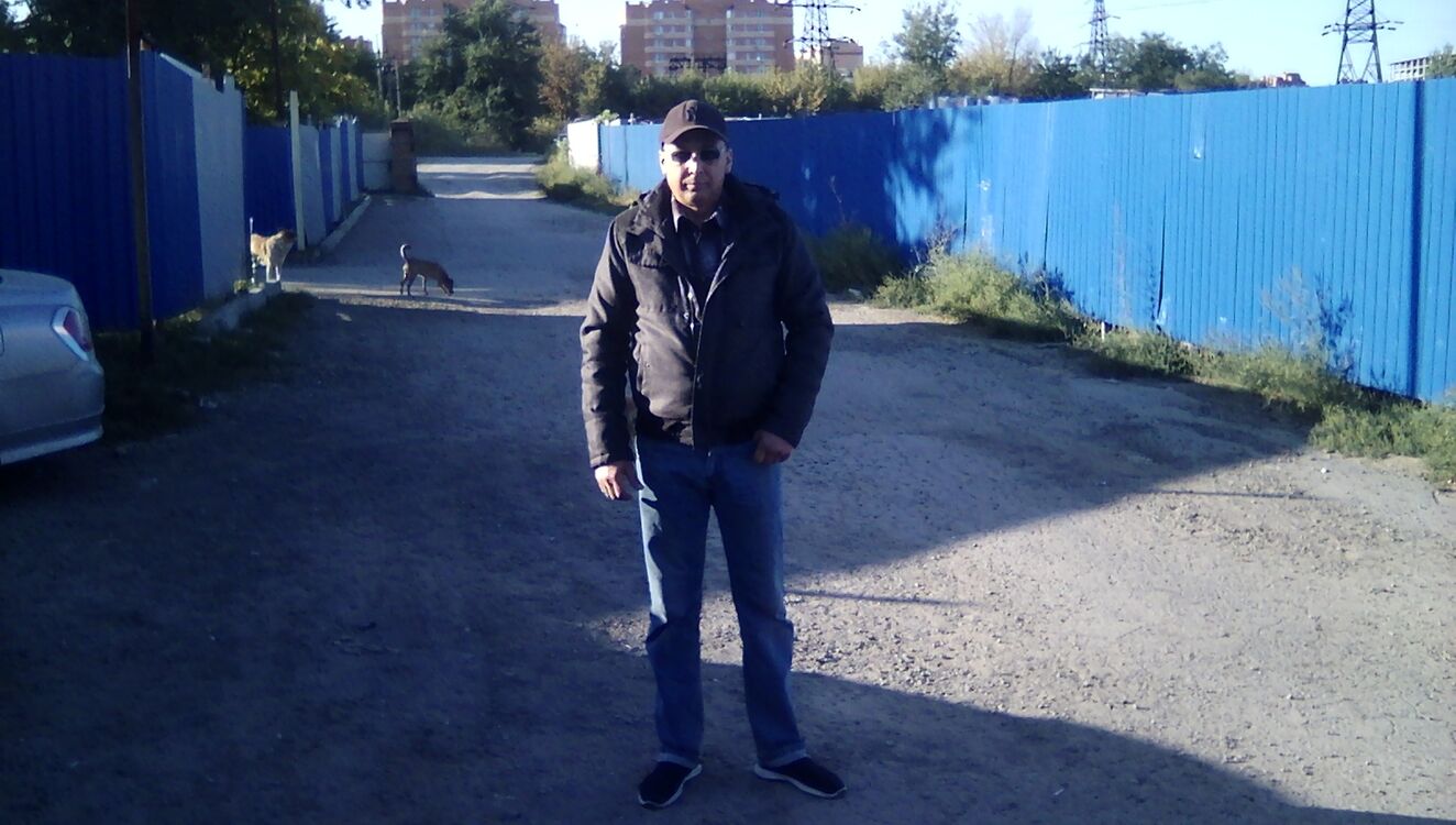  24769981  , 50 ,    