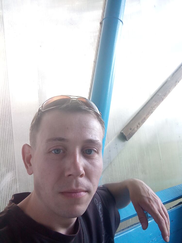  53290941  , 33 ,    