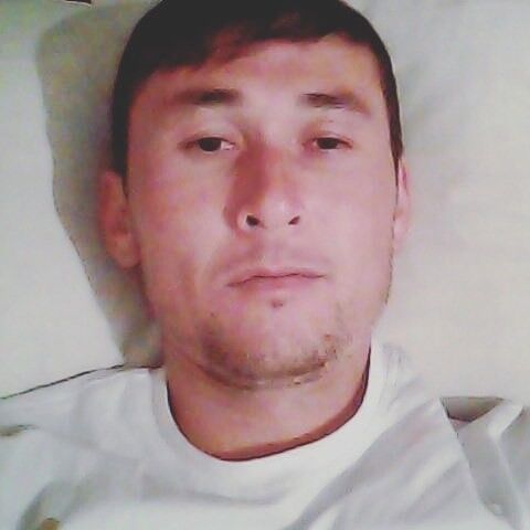  13937841  , 29 ,    