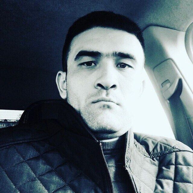  41983851  , 33 ,    