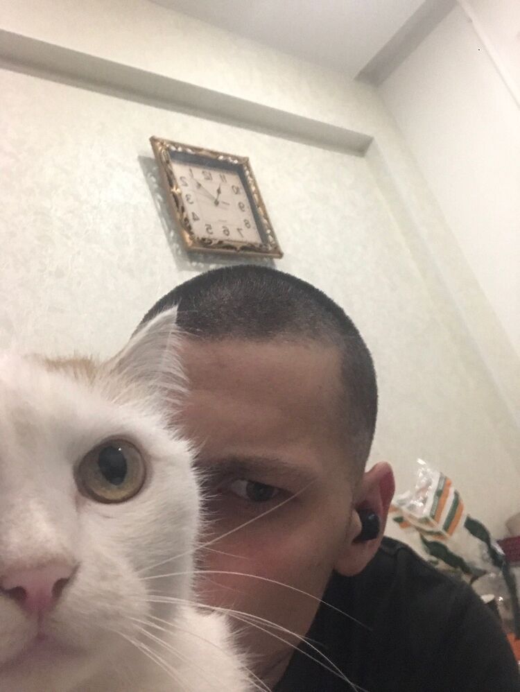  35455551  , 20 ,    
