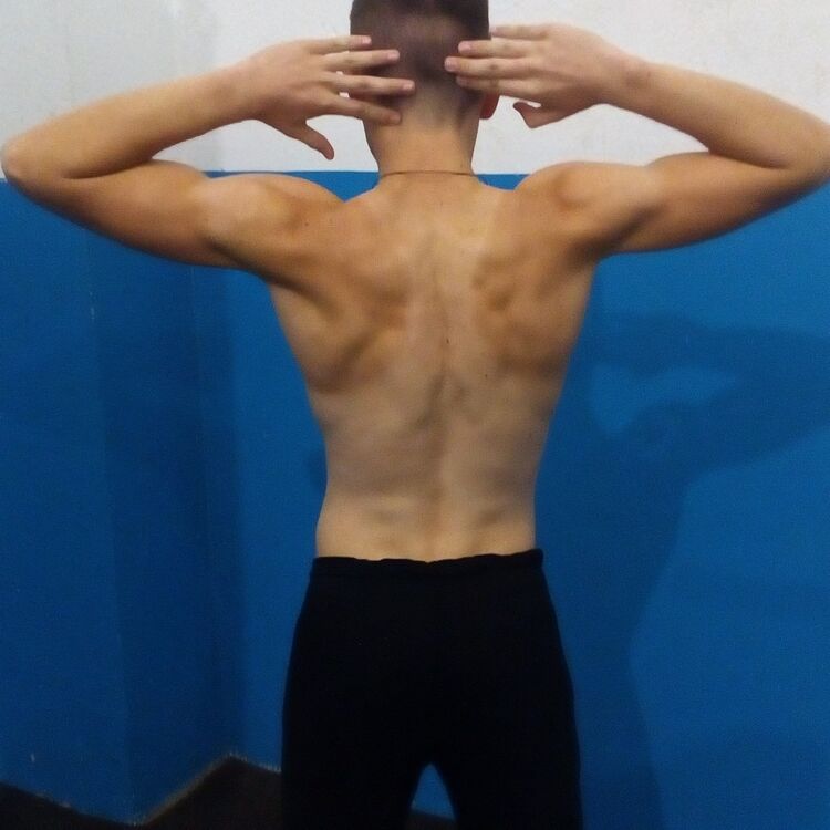  17253461  , 25 ,    