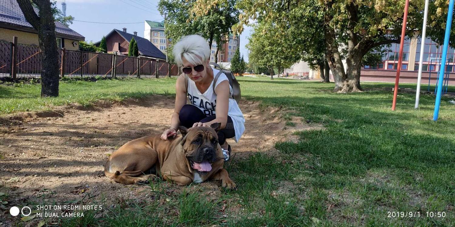 ���� 51016921 ������� �������, 49 ���, ���� ���������� � �����������