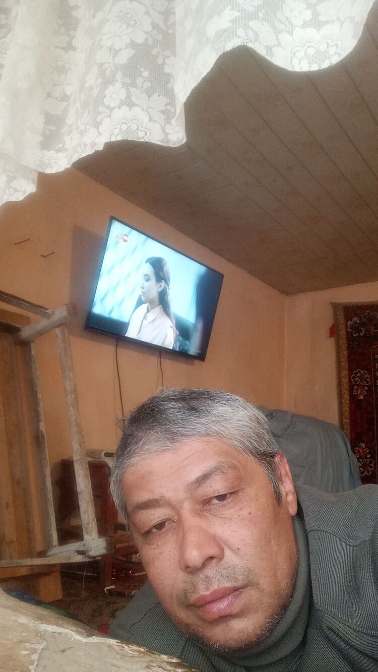 ���� 33115711 ������� �����, 50 ���, ���� ���������� � ��������